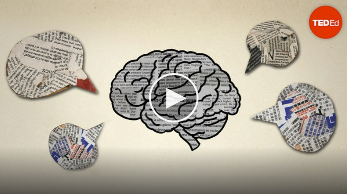 The benefits of a bilingual brain